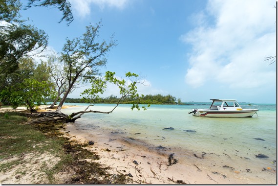 ina-20150113-urlaub_mauritius-6372