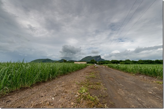 ina-20150113-urlaub_mauritius-6530